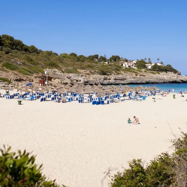 Insotel Cala Mandia Resort & Spa - zdjęcie 4