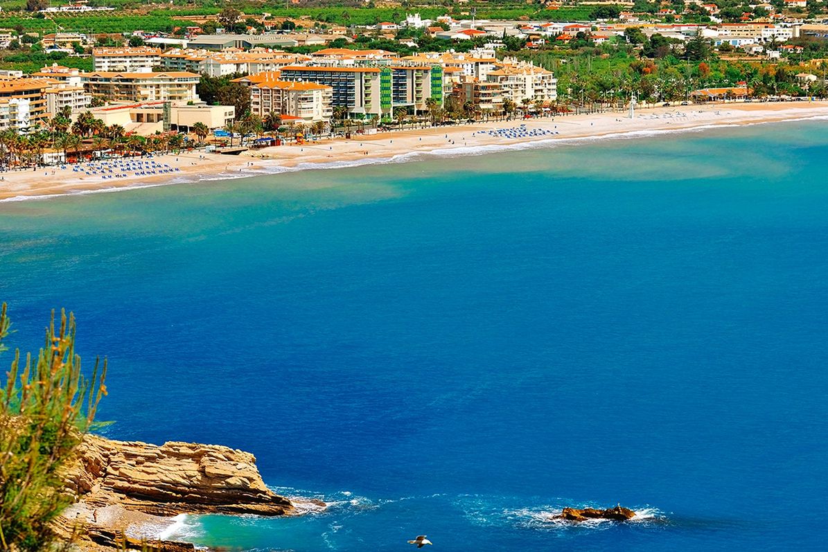 Kaktus Albir - obiekt