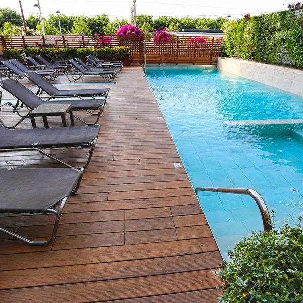 Kaktus Volga (Calella) - zdjęcie 3