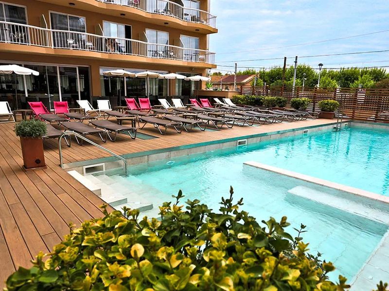 Kaktus Volga (Calella)