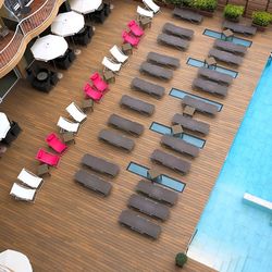 Kaktus Volga Calella