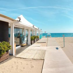 Kaktus Volga Calella