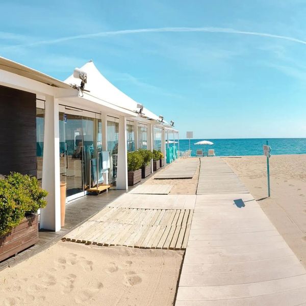 Kaktus Volga (Calella) - zdjęcie 2