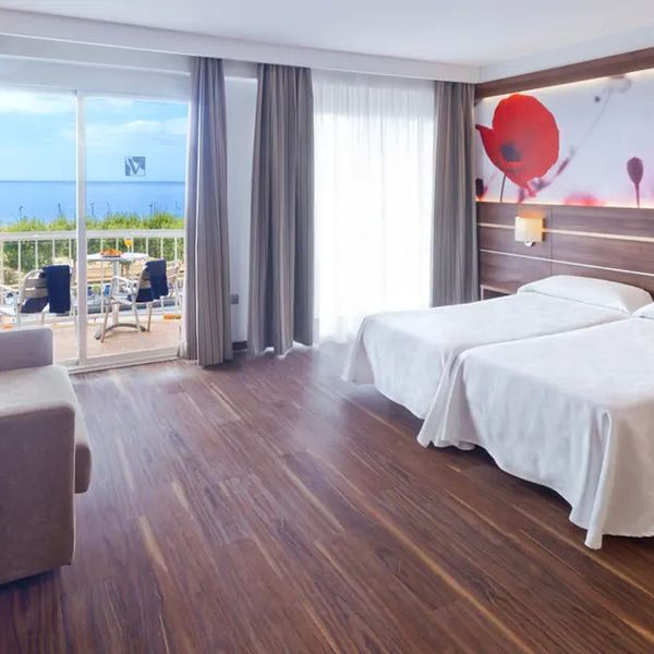 Kaktus Volga (Calella) - zdjęcie 3