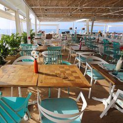 Kaktus Volga Calella