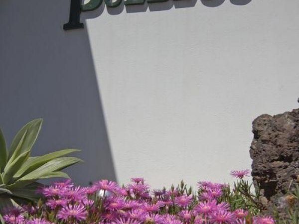 Los Pueblos 2*