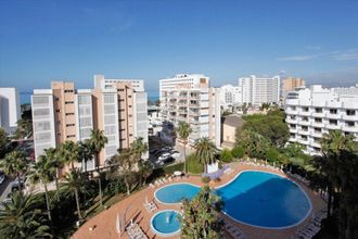 Oleander Playa de Palma