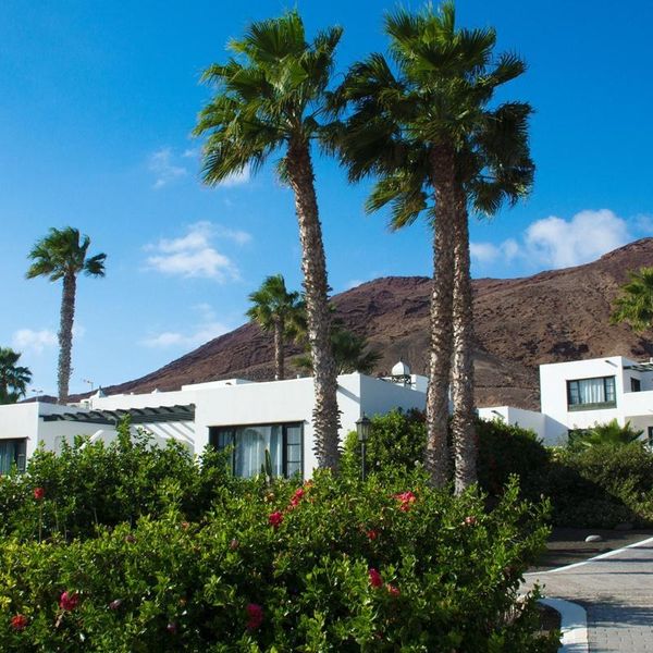Palmeras Garden