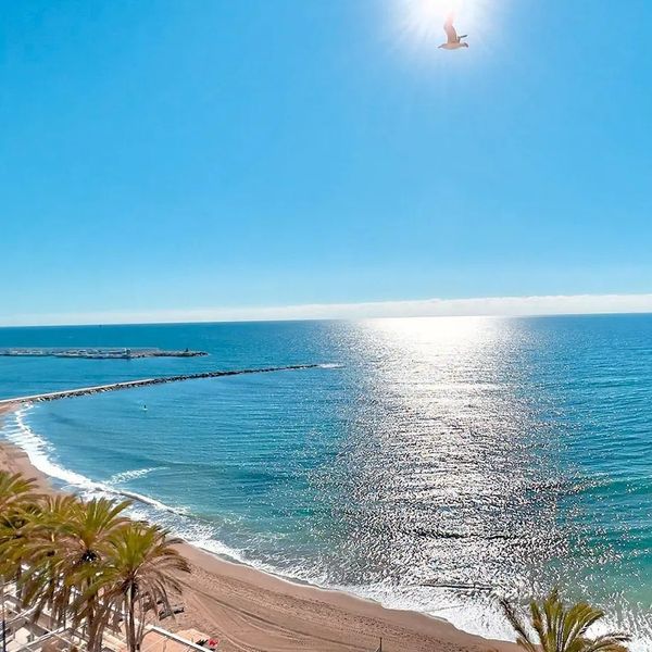 Puerto Azul (Marbella)