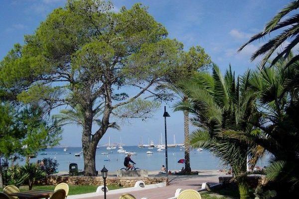 Ses Savines (Ibiza) - teren hotelu