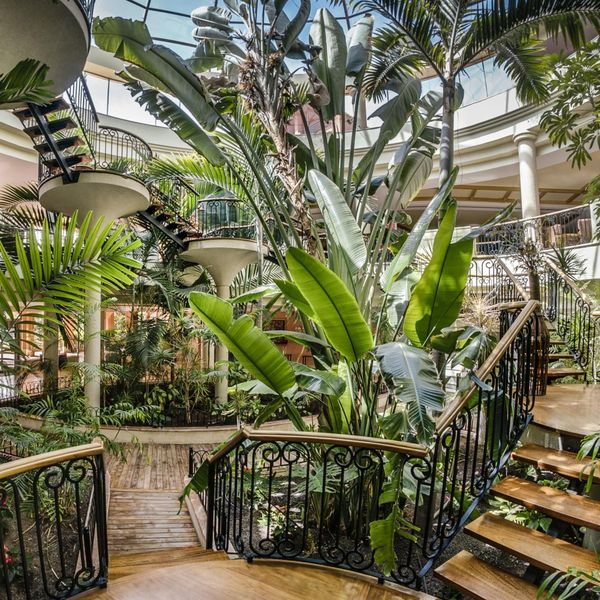 Sheraton Fuerteventura - zdjęcie 3