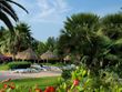 Top Alcudia
