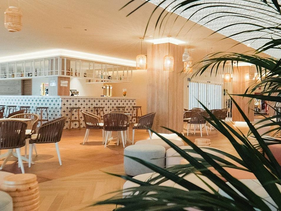 drink bar, kawiarnia