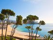 Top Magaluf