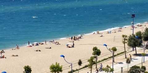 plaża