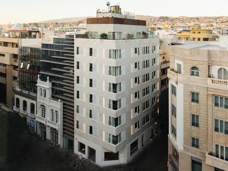 Taro by Nook Collection 