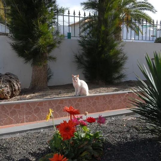 Villa Florida