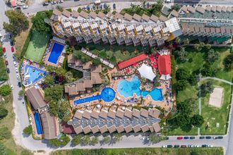 Zafiro Tropic ex Viva Tropic