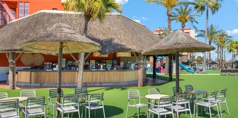 drink bar