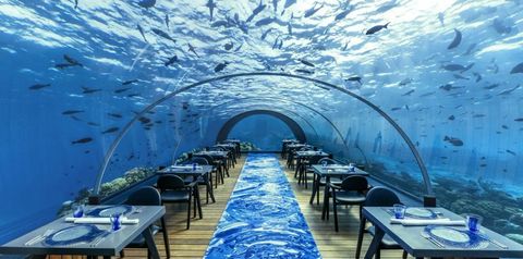restauracja