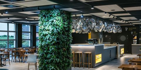 drink bar, kawiarnia