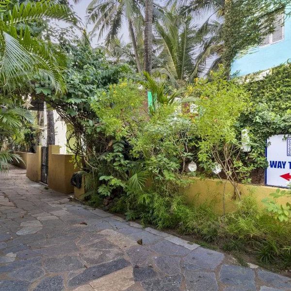 Aldeia Santa Rita – 2026-01-08 - Zdjęcie 2