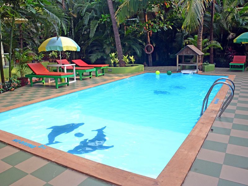 Classic De Evergreen