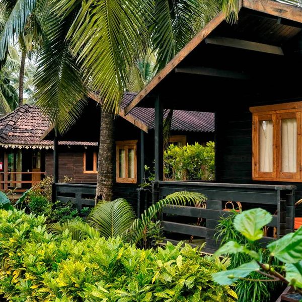 Ivy Morjim AM Kollection – 2026-12-10 - Zdjęcie 2