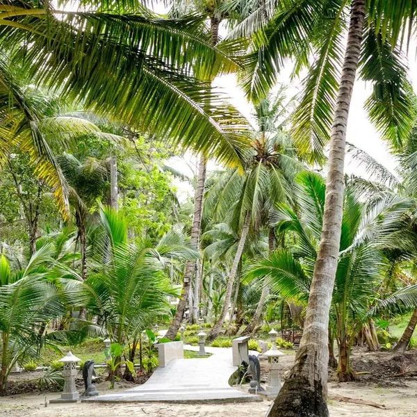 Sandyy Wavess Beach Resort