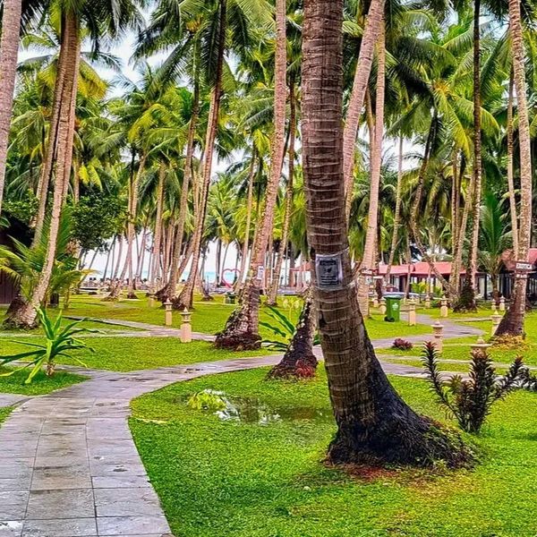 Silver Sand Beach Resort Havelock