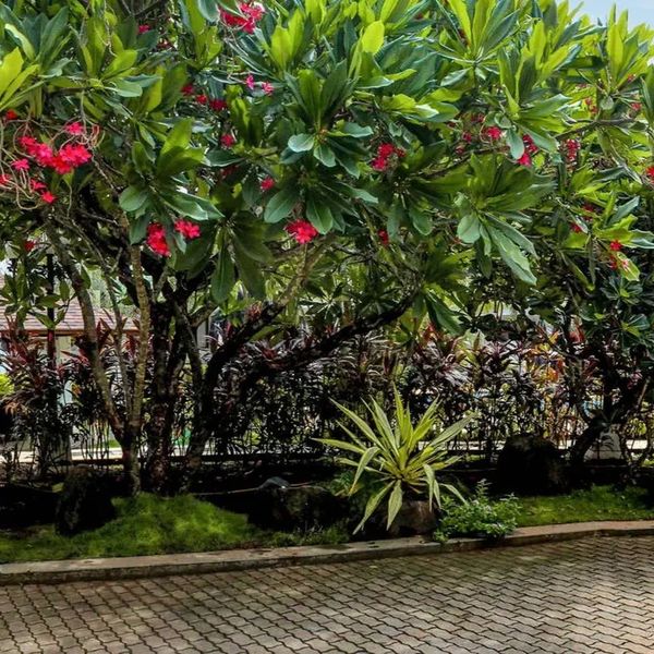 Sonesta Inns – 2026-12-10 - Zdjęcie 2