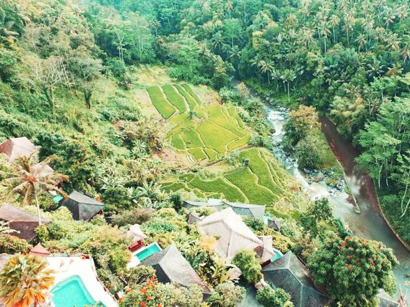 Jungle Retreat by Kupu Kupu