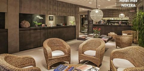 drink bar, recepcja / lobby