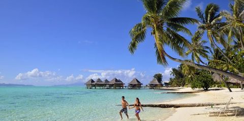 plaża, teren hotelu