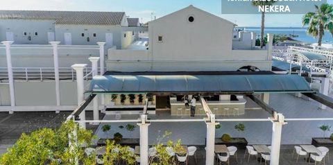 obiekt, teren hotelu, drink bar