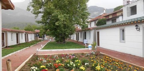 góry, teren hotelu
