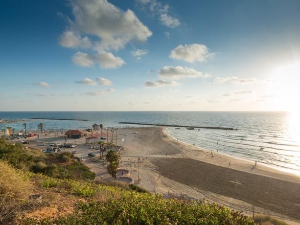 Leonardo Plaza Netnya