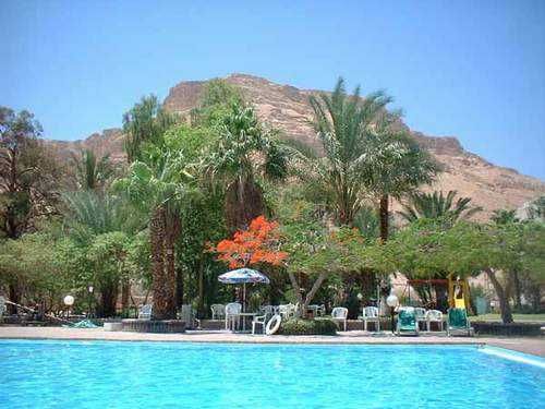 Tulip Inn 3*