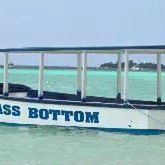 Negril Tree House Resort – 2026-04-30 - Zdjęcie 3