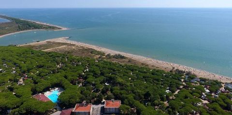 teren hotelu, basen, plaża