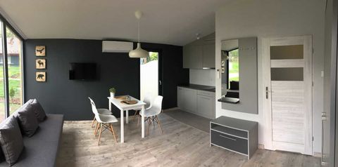 apartament, kuchnia / aneks kuchenny