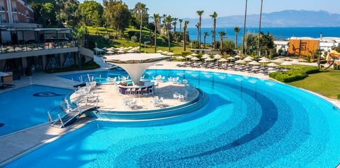 basen, pool bar