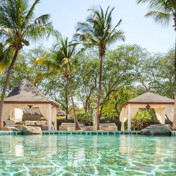 Lion In The Sun – 2026-05-03 - Zdjęcie 2