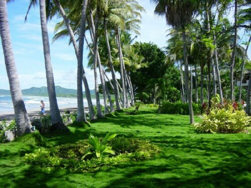 Tamarindo Diria Beach Resort