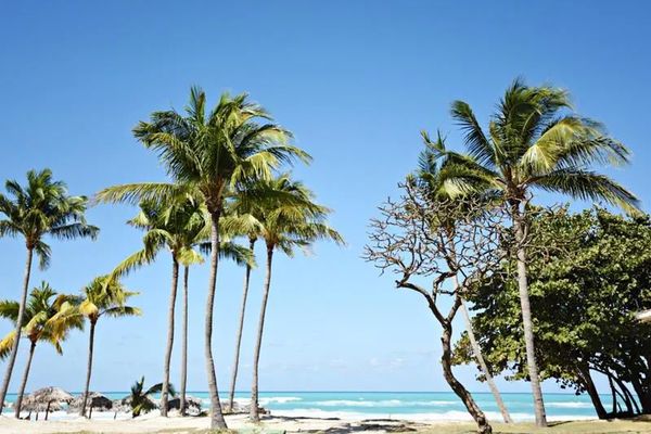 Starfish Cuatro Palmas (ex Mercure)