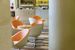 recepcja / lobby, lobby bar