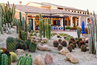 Lantana Resort