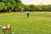 pole golfowe