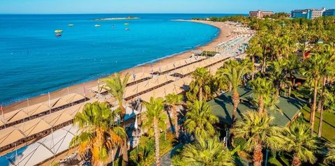 plaża