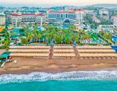 Leodikya Kirman Premium